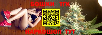 дмт Гай