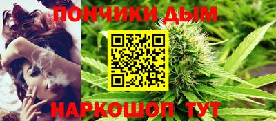 дмт Гай