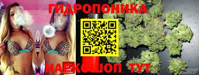 дмт Гай