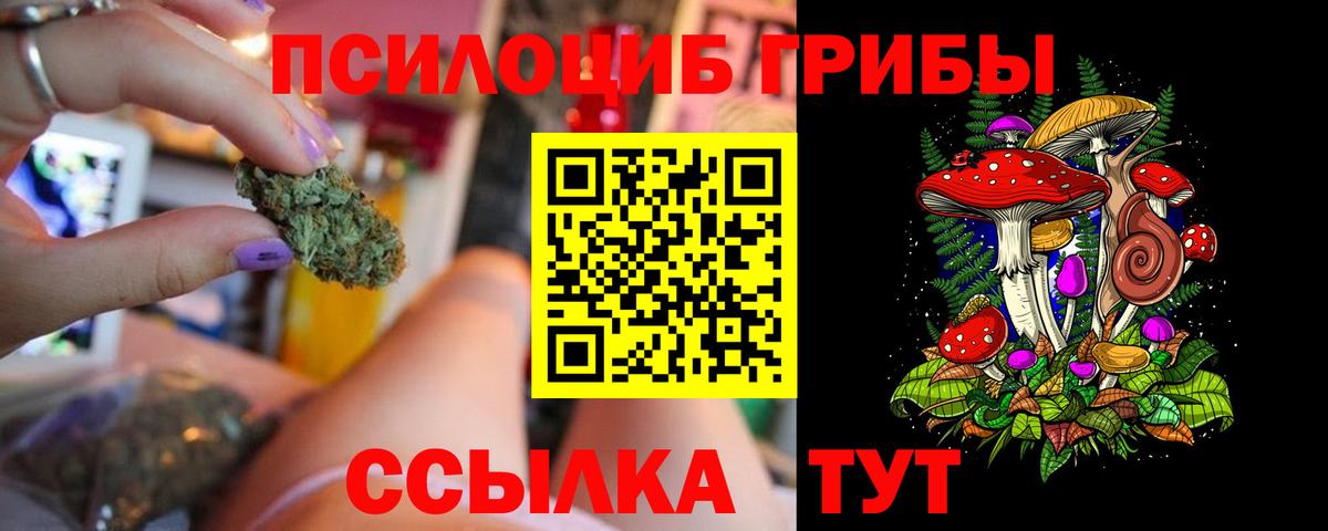 Псилоцибиновые грибы прущие грибы Казань